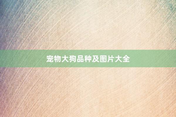 宠物大狗品种及图片大全